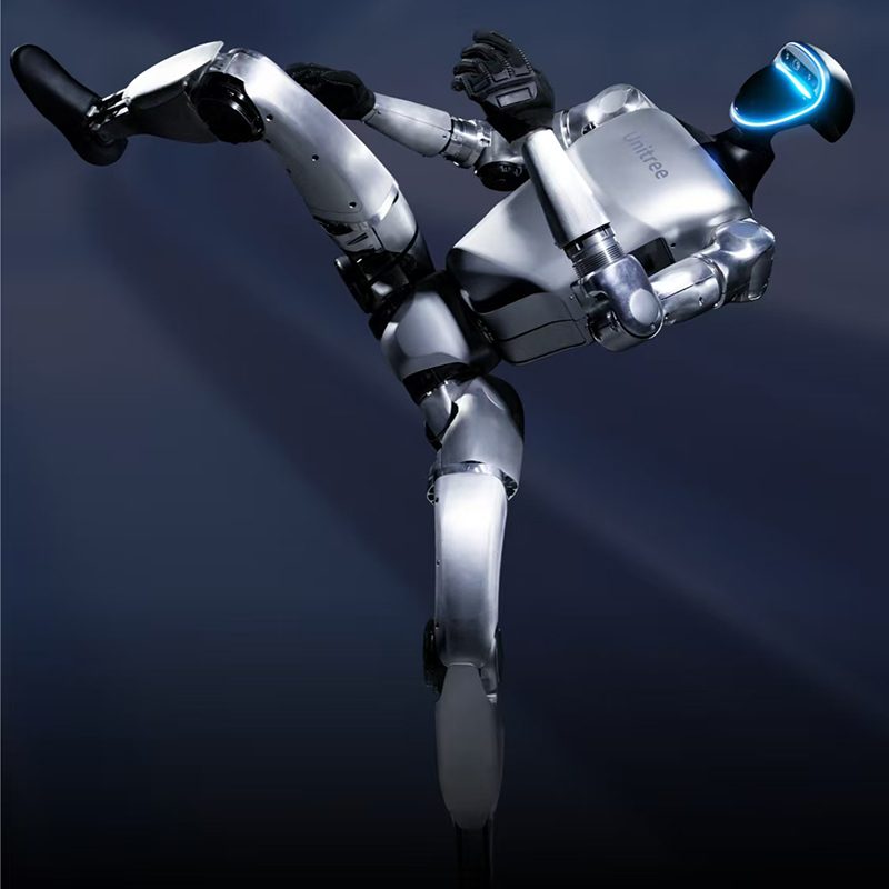Future Trends and Applications of Retail Intelligent Robots, ESL, and Traffic Systems Over the Next 5-10 Years